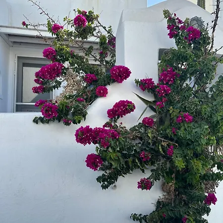 Casaornos Ornos (Mykonos)