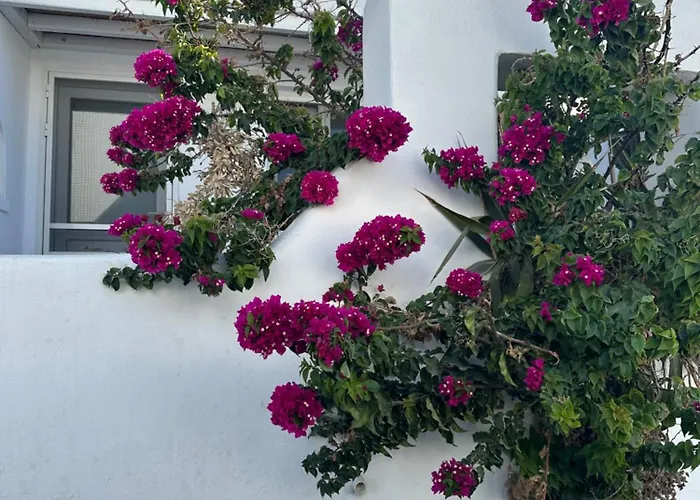 Casaornos Ornos (Mykonos)